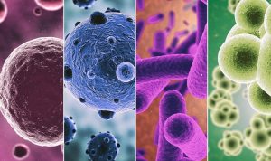 Viral Global Events Covered by General News Outlets