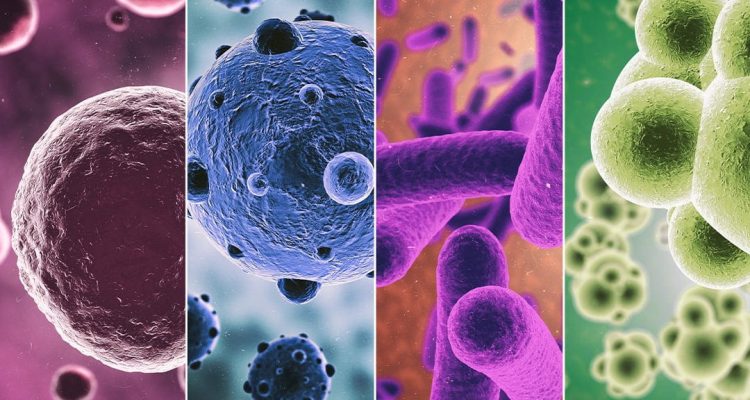 Viral Global Events Covered by General News Outlets