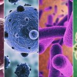 Viral News on Insurance Fraud Cases in 2025 Uncovered