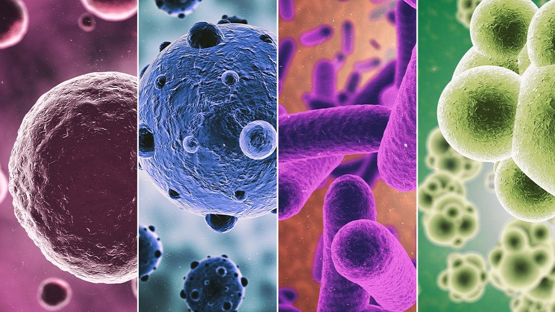 Is Your Infection Bacterial or Viral? | University Hospitals Viral News on Insurance Fraud Cases in 2025