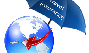 Insurance Brands Redefining Sales with Viral Content Insurance Brands Redefining Sales with Viral Content