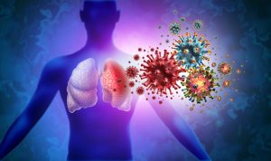 Viral Sunglasses Collections Loved by Influencers Viral Sunglasses Collections Loved by Influencers