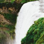 AI Powered Gadgets Trending Worldwide in 2025